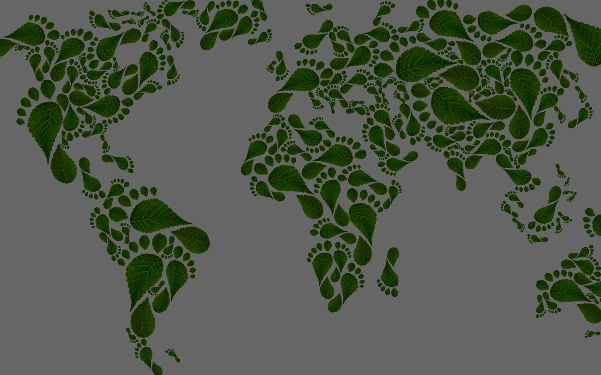 global map world leaf foot prints