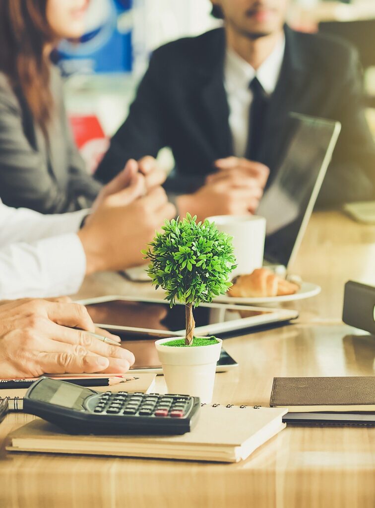 meeting with little tree on desk