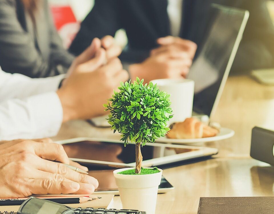 meeting with little tree on desk