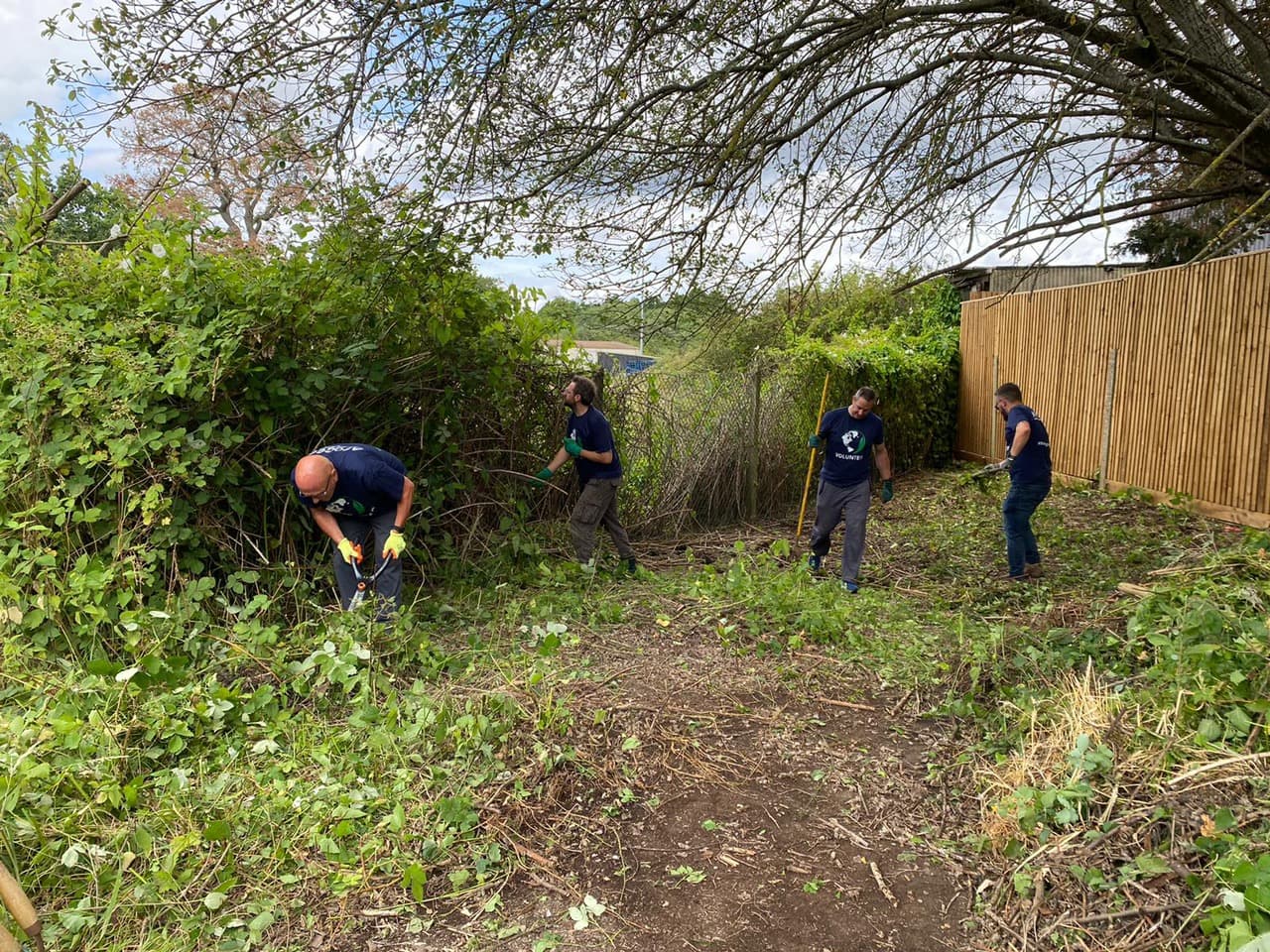 Apogee & Toshiba volunteers clear an area for orchids at Holme Farm