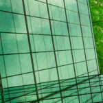 glass-window-panes-green-tree-tops-sunlight