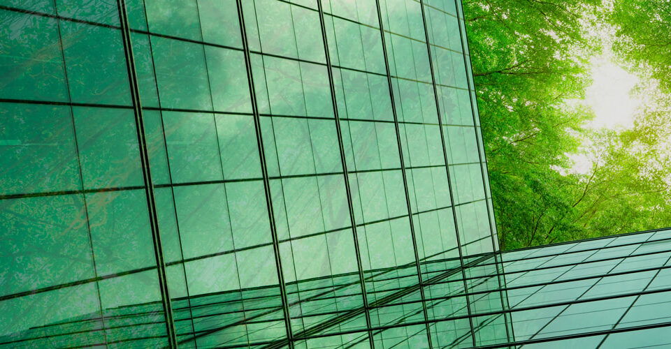 glass-window-panes-green-tree-tops-sunlight