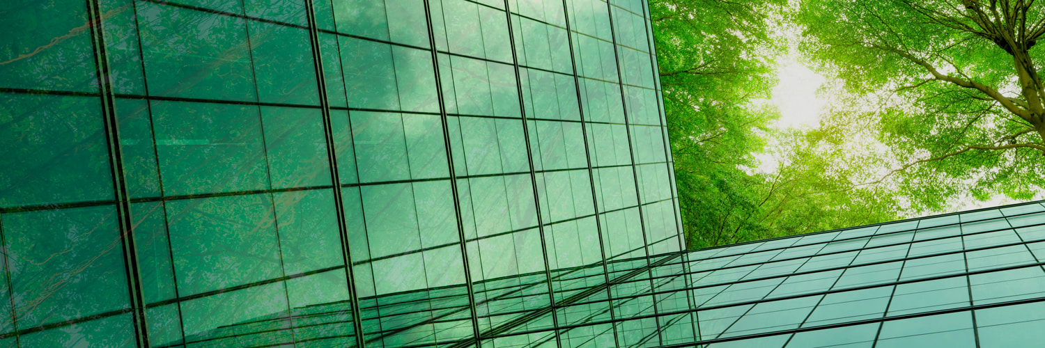 glass-window-panes-green-tree-tops-sunlight