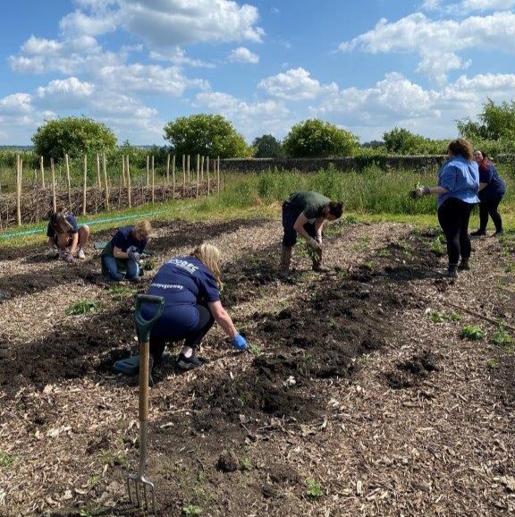 people & culture team digging planting beds